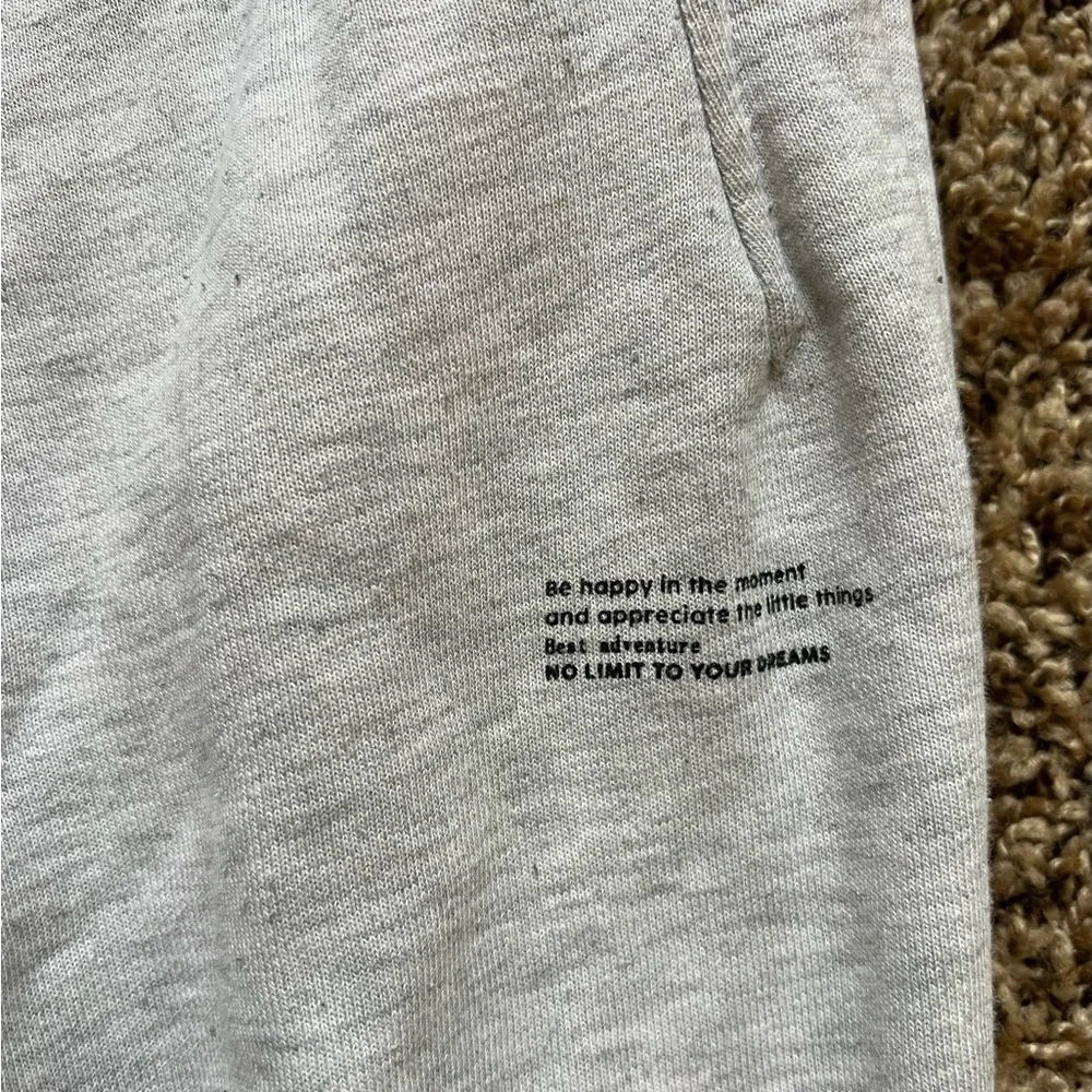Zara Boys Sweatpants sz 13-14